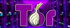 tor explicado